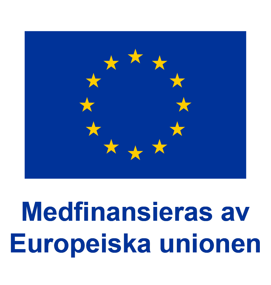 Logo of Europeiska unionen